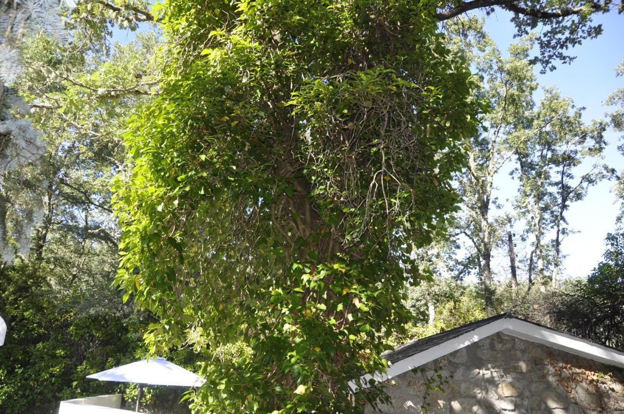 Espejo De Soledades Villa Vigo de Sanabria Bagian luar foto